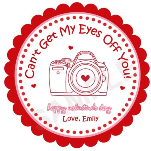 Valentine's Day Camera Personalized Stickers