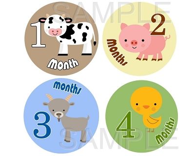 Hayden - Little Farm Friends Monthly Photo Stickers