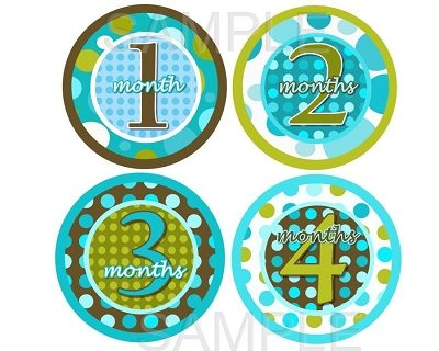 Jacob - Blue and Brown Polka Dots Monthly Photo Stickers