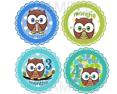 James - Cute Cute Baby Owl Boy Monthly Photo Stickers