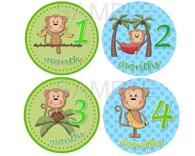 Juan - Cutest Monkey Boy in Town Monthly Photo Stickers